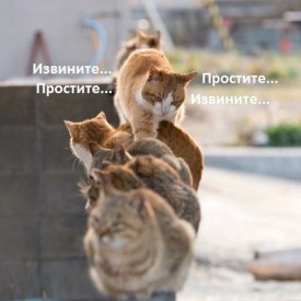 Имя  Фамилия
