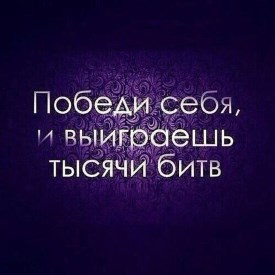 Камелия Малинка