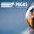 Pegas Touristik, Турагентство