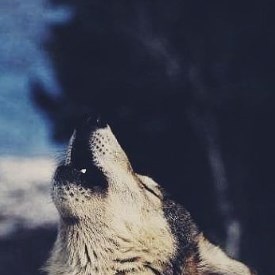 Настя