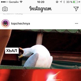 Eli666