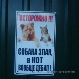 Azamat08