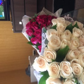 Камила