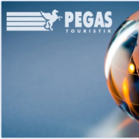 Pegas Touristik, Турагентство