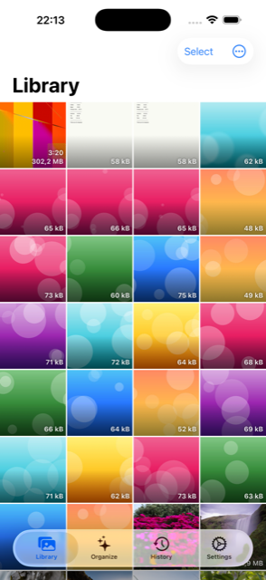 Library grid view in Gallerynizer, showing photos and a large video